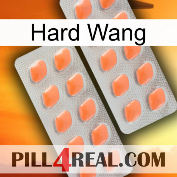 Hard Wang 27.jpg